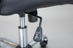 Inter Link Drehstuhl Ottimo, Schwarz 10 Inter Link Drehstuhl Ottimo, Schwarz -Mytoys Home Store 15849909 04