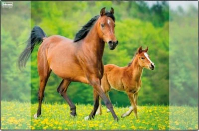 Idena Schreibunterlage Pferde 58,5 X 38,5 Cm 3 Idena Schreibunterlage Pferde 58,5 X 38,5 Cm