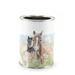 Nikima Stiftebecher Pferde Inkl. 12 Dreikant Buntstiften Stifteköcher Stifteköcher -Mytoys Home Store 19306441 02