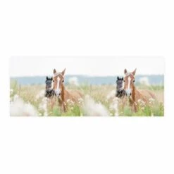 Nikima Stiftebecher Pferde Inkl. 12 Dreikant Buntstiften Stifteköcher Stifteköcher -Mytoys Home Store 19306441 03