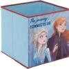 Aufbewahrungsbox Frozen 2, 30x30x30 Cm -Mytoys Home Store 19328172 01