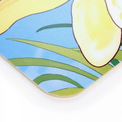 Nikima Schreibtischunterlage Stabile Vinyl Pusteblume Schreibtischunterlagen 4 Nikima Schreibtischunterlage Stabile Vinyl Pusteblume Schreibtischunterlagen – Bild 2