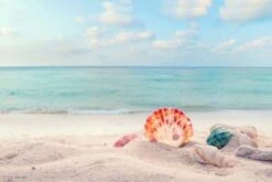 Coveryourdesk Schreibtischunterlage Schreibtischunterlage Schreibunterlage Aus Premium Vinyl - Traumstrand Mit Muscheln - 60 X 40 Cm