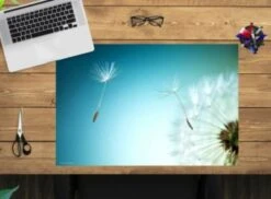 Coveryourdesk Schreibtischunterlage Schreibtischunterlage Schreibunterlage Aus Premium Vinyl - Pusteblume - 60 X 40 Cm 7 Coveryourdesk Schreibtischunterlage Schreibtischunterlage Schreibunterlage Aus Premium Vinyl - Pusteblume - 60 X 40 Cm -Mytoys Home Store 20912006 02