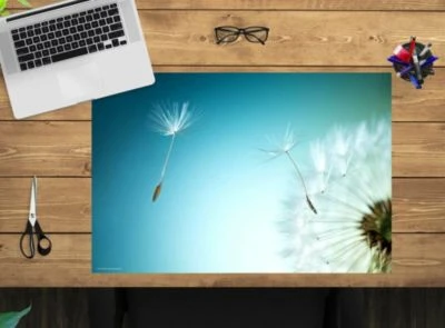 Coveryourdesk Schreibtischunterlage Schreibtischunterlage Schreibunterlage Aus Premium Vinyl - Pusteblume - 60 X 40 Cm 4 Coveryourdesk Schreibtischunterlage Schreibtischunterlage Schreibunterlage Aus Premium Vinyl - Pusteblume - 60 X 40 Cm – Bild 2