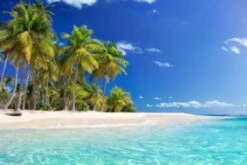 Coveryourdesk Schreibtischunterlage Schreibtischunterlage Schreibunterlage Aus Premium Vinyl - Palmen Am Meer - 60 X 40 Cm