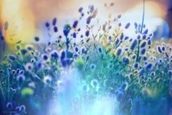 Coveryourdesk Schreibtischunterlage Schreibtischunterlage Schreibtischunterlage Für Kinder Und Erwachsene – “Blumenwiese“ – Aus Erstklassigem, Strapazierfähigem Vinyl (Kunststoff) – 60 X 40 Cm – Made