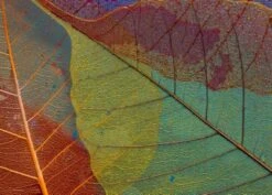 Coveryourdesk Schreibtischunterlage Schreibtischunterlage Für Kinder Und Erwachsene – “Blattadern In Herbstfarben“ – Aus Erstklassigem, Strapazierfähigem Vinyl (Kunststoff -BPA Frei) – 70 X 50 Cm – Ma