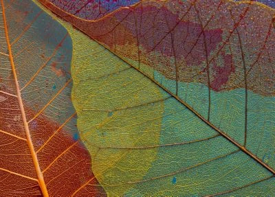 Coveryourdesk Schreibtischunterlage Schreibtischunterlage Für Kinder Und Erwachsene – “Blattadern In Herbstfarben“ – Aus Erstklassigem, Strapazierfähigem Vinyl (Kunststoff -BPA Frei) – 70 X 50 Cm – Ma 3 Coveryourdesk Schreibtischunterlage Schreibtischunterlage Für Kinder Und Erwachsene – “Blattadern In Herbstfarben“ – Aus Erstklassigem, Strapazierfähigem Vinyl (Kunststoff -BPA Frei) – 70 X 50 Cm – Ma