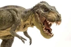 Coveryourdesk Schreibtischunterlage Schreibtischunterlage Schreibtischunterlage Für Kinder Und Erwachsene – “Dinosaurier Tyrannosaurus“ – Aus Erstklassigem, Strapazierfähigem Vinyl (Kunststoff) – 60 X 4