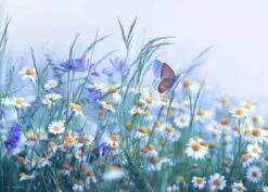 Coveryourdesk Schreibtischunterlage Schreibtischunterlage Für Kinder Und Erwachsene – “Wiesenblumen“ – Aus Erstklassigem, Strapazierfähigem Vinyl (Kunststoff -BPA Frei) – 70 X 50 Cm – Made In Germany