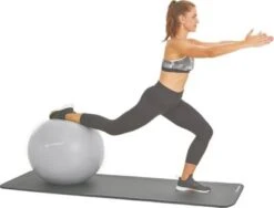 Schildkröt-Fitness GYMNASTIKBALL 65cm, Silver -Mytoys Home Store 24665166 06