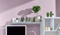 Feldmann-Wohnen Wandregal Wandboard Arcca 80cm Farbe Wählbar -Mytoys Home Store 29577411 02