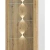 Feldmann-Wohnen Standvitrine Adagio Vitrine 65cm 1-türig Mit Glaseinsatz -Mytoys Home Store 29801886 01