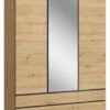 Feldmann-Wohnen Kleiderschrank Naxos Drehtürenschrank Mit Spiegel 165x58x210cm Grifflos 3-türig -Mytoys Home Store 29801964 01