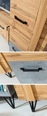 Feldmann-Wohnen Schreibtisch Bürotisch Milenium 120x55cm Mit 1 Tür 6 Feldmann-Wohnen Schreibtisch Bürotisch Milenium 120x55cm Mit 1 Tür – Bild 4