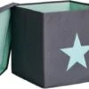STORE IT! Ordnungsbox Stern, Mit Stabilem Deckel, Grau/mint -Mytoys Home Store 5348119 01