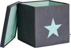 STORE IT! Ordnungsbox Stern, Mit Stabilem Deckel, Grau/mint